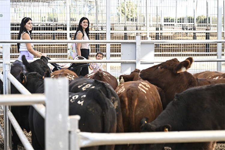 "Dost Mezat"ta kadınlara özel indirim