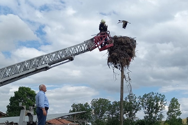 Ayaklarına ip dolanan leyleği itfaiye ekipleri kurtardı