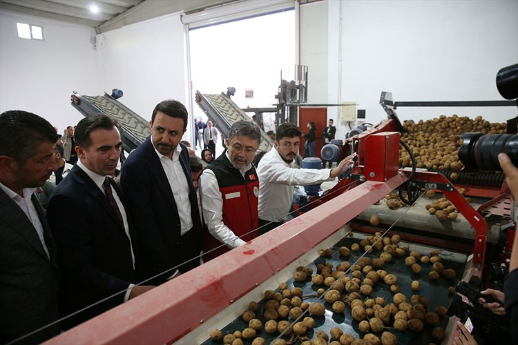 Bakan Yumaklı, Bitlis'te kuru fasulye hasadına katıldı