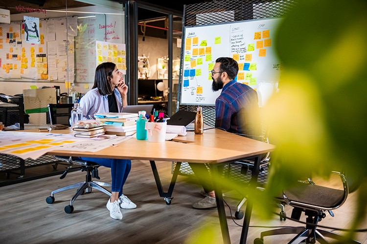 Politika geliştirmeye yönelik ücretsiz öğrenme programı