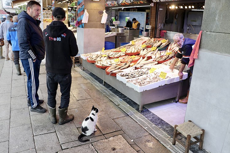 Trabzon'da balıkçı tezgahlarında çeşitlilik sürüyor