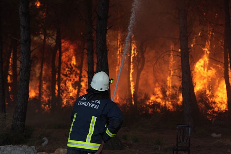 Türkiye'nin yeşil sermayesi yandı