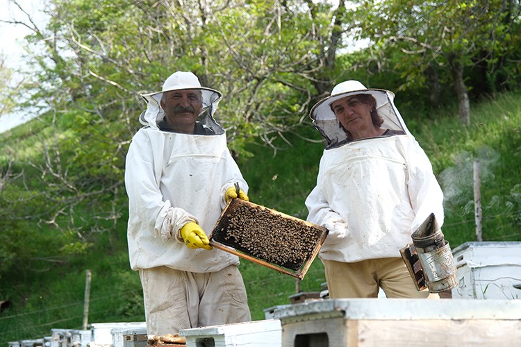 Bingöllü arıcı çift 30 yıldır "en iyi bal" için mesai yapıyor