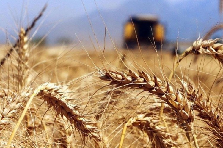 Dünya - Tarif edilemez derecede güzel gezegen...