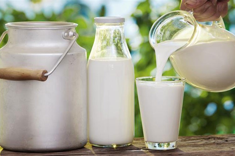 Çiğ süt sektörü gelecek yıl ihracatı artırmaya odaklandı