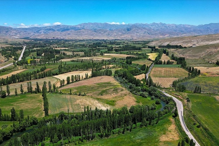 Bayburt'ta 40 bin hektar alanda yem bitkisi hasadı sürüyor