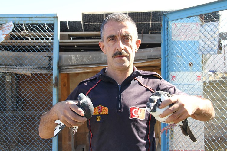 "Depremzede" güvercinler, itfaiye bahçesinde hayata kanat çırpıyor