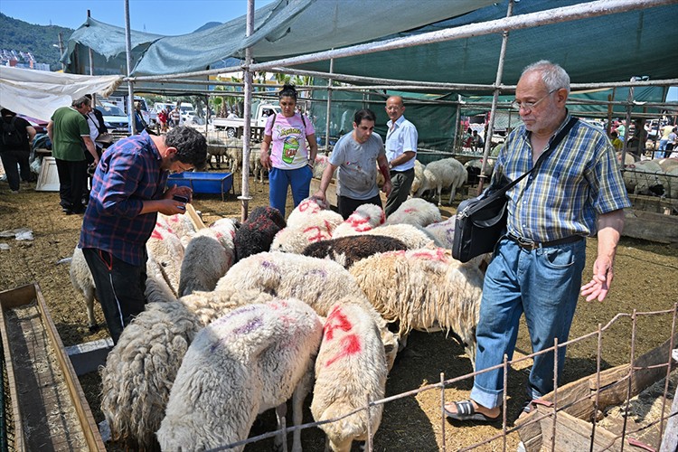 İzmir'deki hayvan pazarlarında kurban pazarlıkları devam ediyor