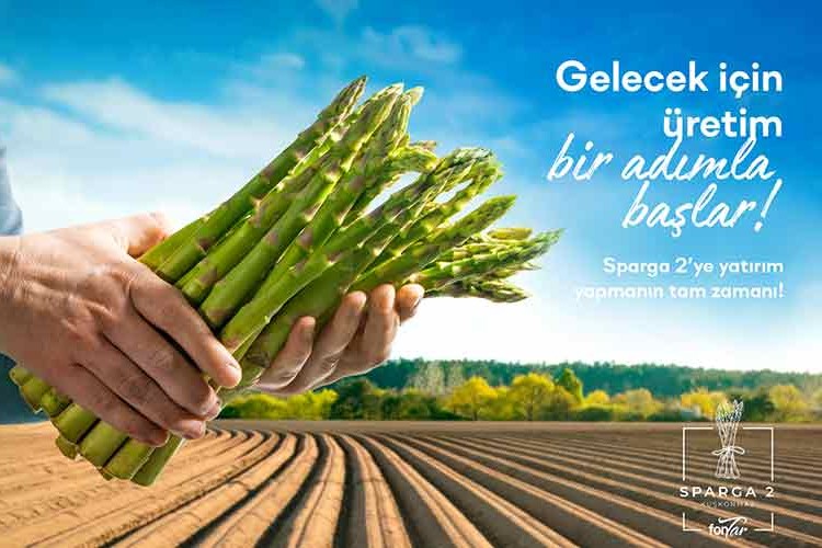 00 dekarlık tarım alanında kuşkonmaz üretecek