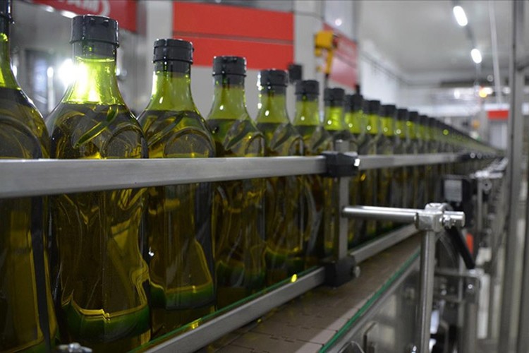 Zeytinyağı ihracatına uygulanan fon kesintisi kaldırıldı