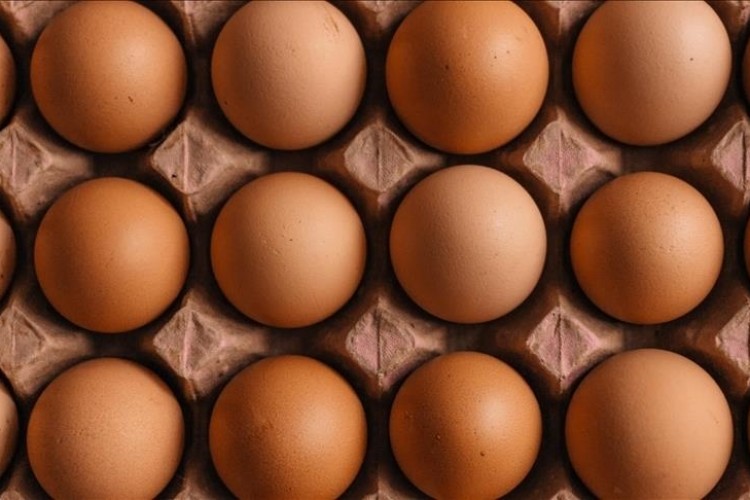 Rusya Türkiye'den yumurta ithal etti