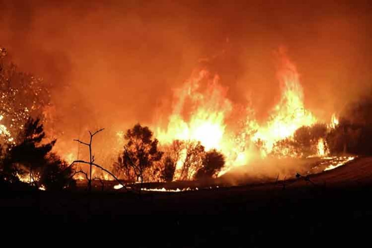 Yangında 3. gün: Boğaz gemi trafiği askıya alındı
