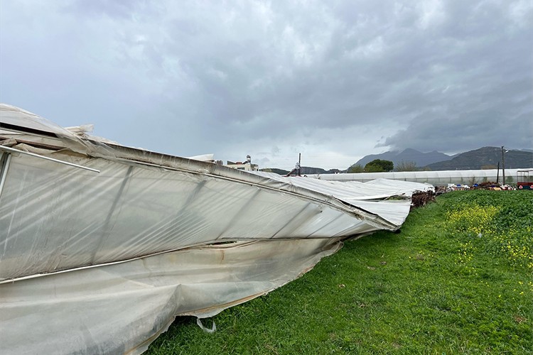 Antalya'da fırtına seralara zarar verdi