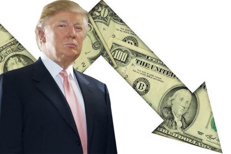 Trump'ın politikaları dolara kan kaybettiriyor