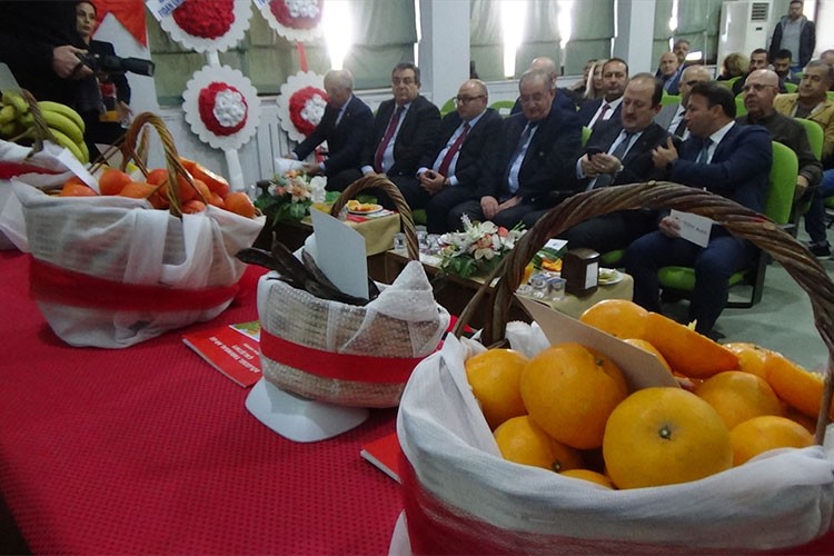 Mersin'de 2 mandalina ve 4 muz çeşidi geliştirildi