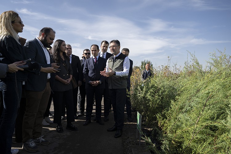 11 Kasım'da 5 milyon 2023 fidan toprakla buluşturulacak