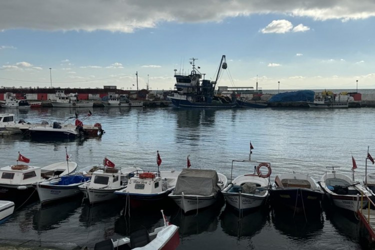 Tekirdağlı balıkçılar yeni yılda umduğunu bulamadı