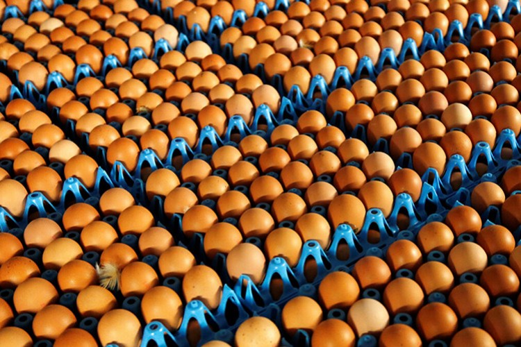Yumurta fiyatları incelemeye alındı