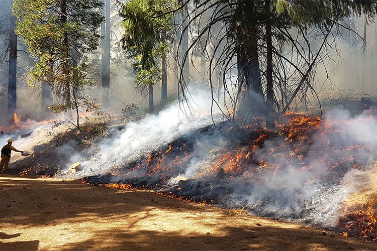 California'daki yangınlar 24 günün ardından kontrol altına alındı