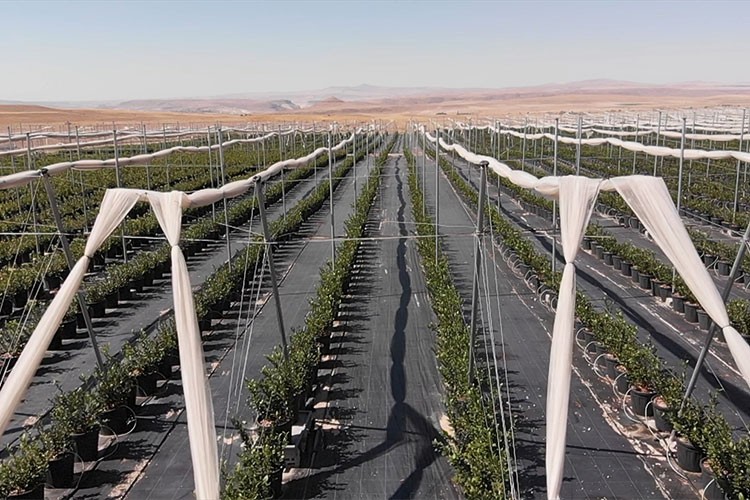 TKDK'dan turizme 1 milyar liralık katkı