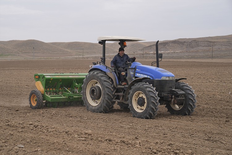 Çankırı'da çiftçiler kuraklığa dayanıklı sertifikalı tohum deniyor