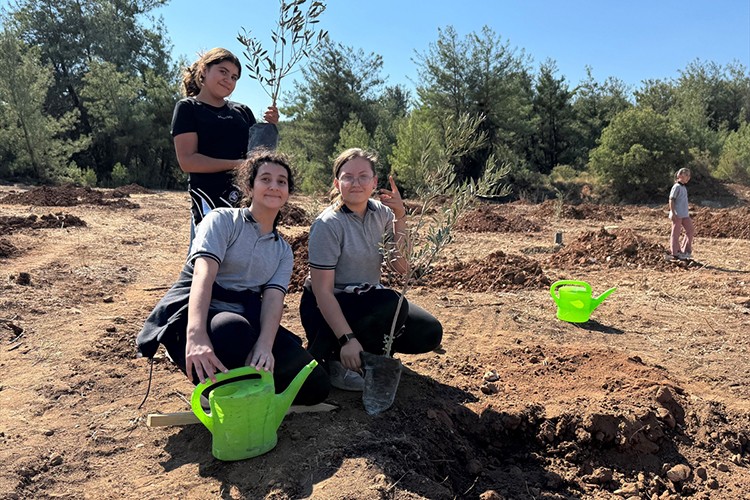 Yeniköy Kemerköy Enerji 300 zeytin fidanını toprakla buluşturdu