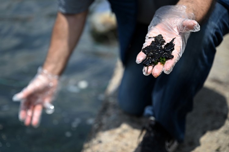İzmir Körfezi için kirlilik uyarısı