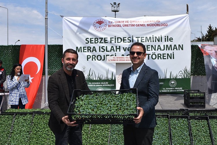 İstanbul'da 1 milyon 254 bin fide üreticilere dağıtılacak
