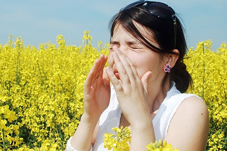 Polen sayısı son 30 yılda yüzde 20 arttı