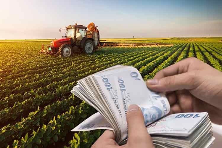 Tarım ÜFE şubatta aylık yüzde 6,58 arttı