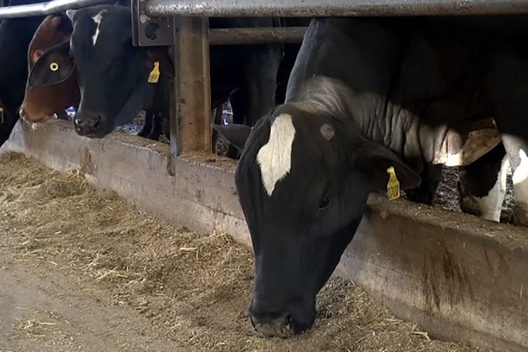 Tarımda en çok ne arttı?