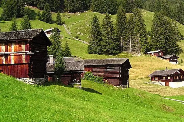 Türkiye'nin 70 köyünde 10 veya daha az kişi yaşıyor