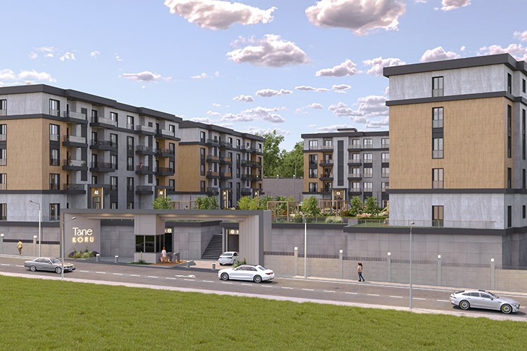 Tane Koru ile yeni bir zafer hikâyesi başlıyor