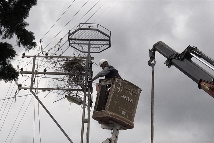 Leyleklerin güvenliği direklere yerleştirilen yapay platformlarla sağlanıyor