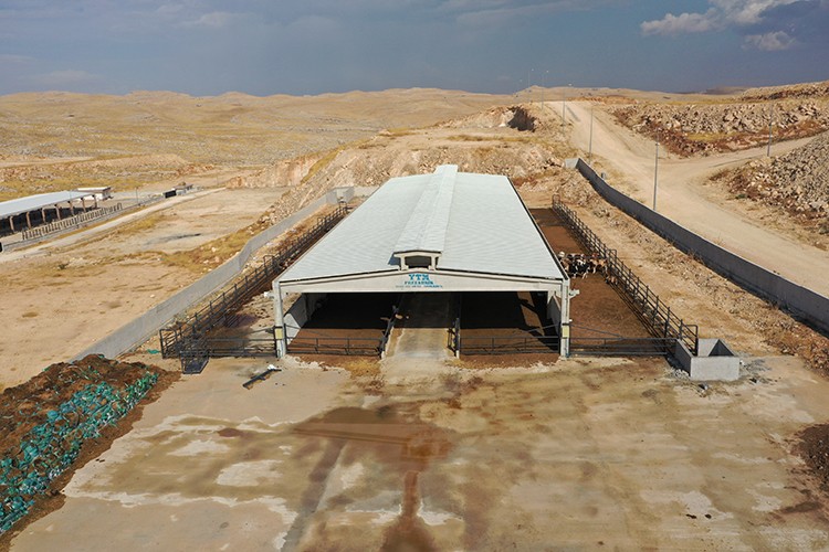 TKDK desteğiyle AB standartlarında kesimevi kurdu