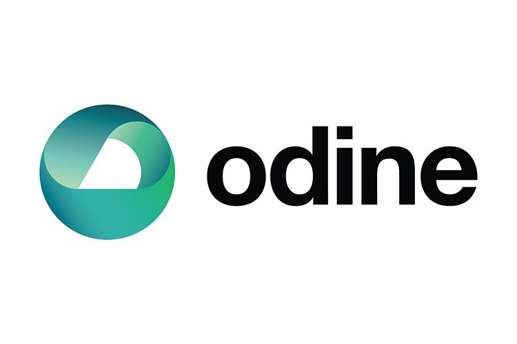 Odine ilk çeyrekte satışlarını % 174 artırdı