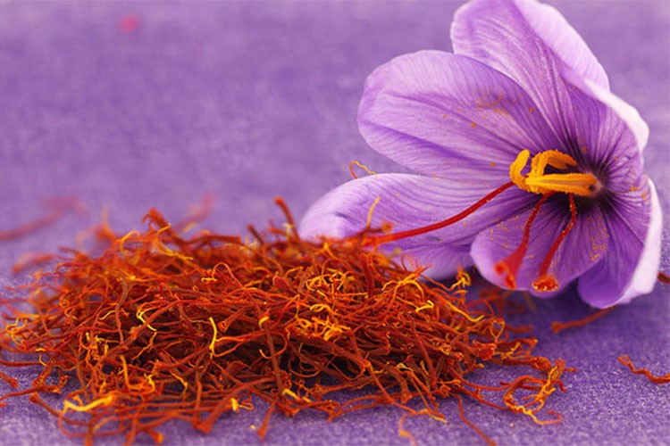 İSTİB'in "Altın Tohumlar" projesinde bu ay "safran" konuşuldu