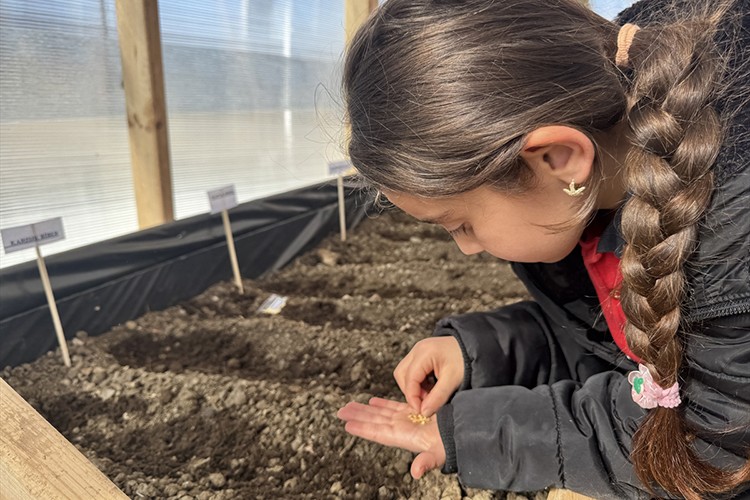 Ata tohumlarını toprakla buluşturdular