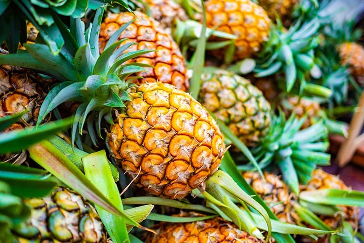 Tropikal meyve ihracatı 7 milyon dolara ulaştı