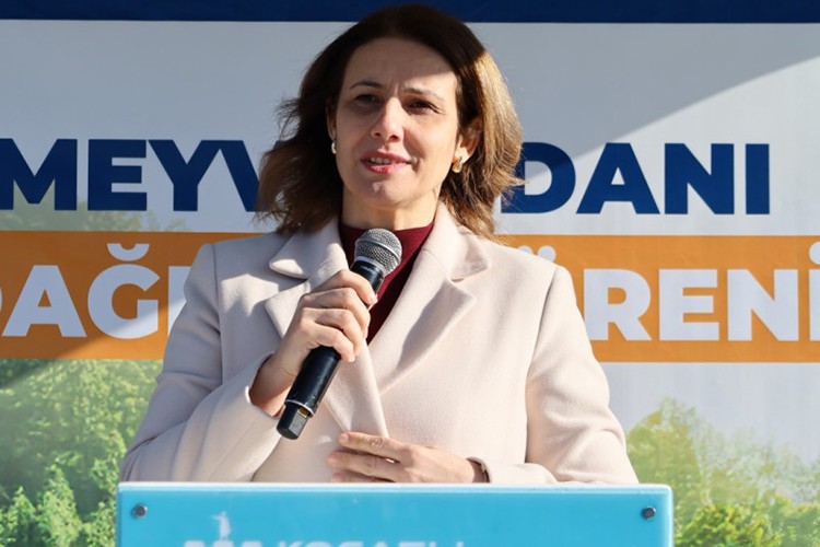 3 bin 600 Trabzon hurması fidanı dağıtıldı