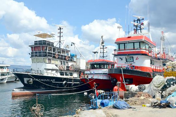 Balıkçılar, bu sezon hamsi ve çinekopta bolluk yaşanmasını bekliyor