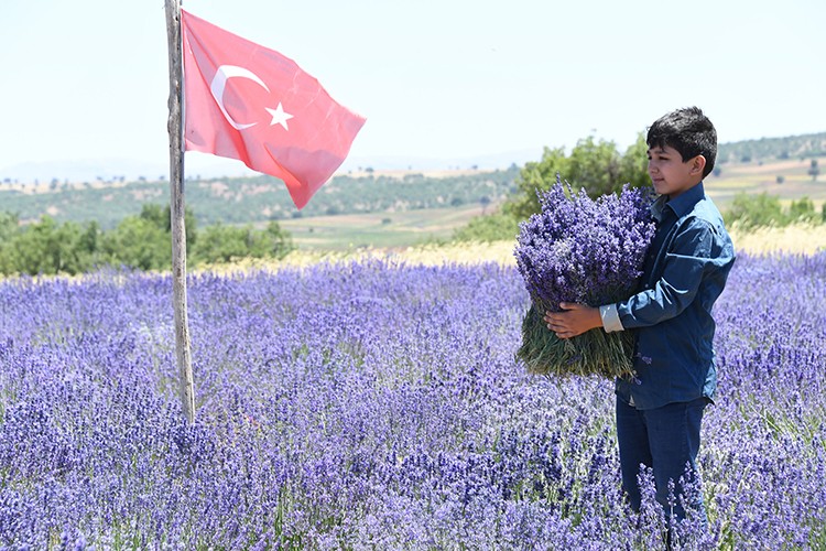 Lavanta Damıtma Tesisi Açıldı