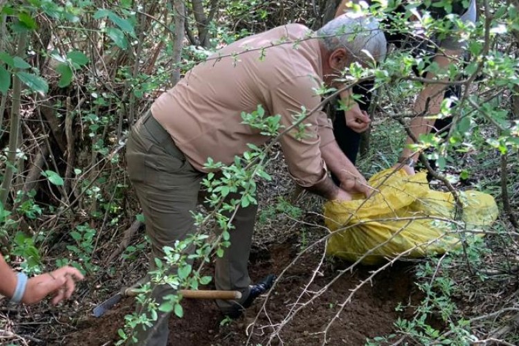 Kaçak salep soğanına 774 bin 282 lira ceza