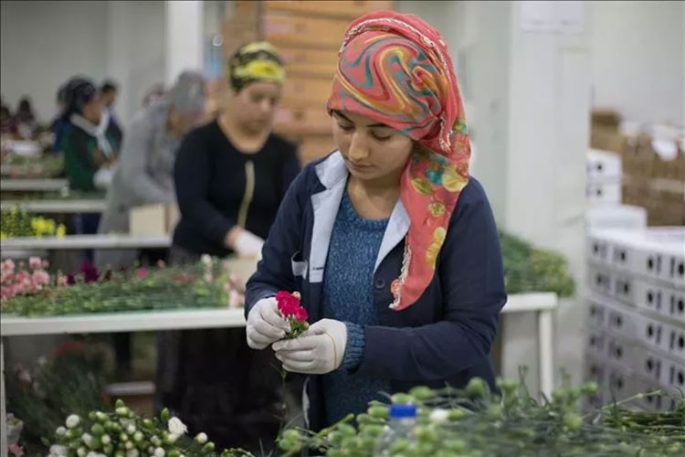 '408 bin 139 kadın işe yerleştirildi'