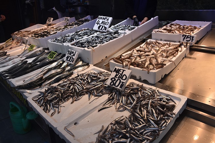 Trabzon'da hamsinin kilogramı 25 liraya kadar düştü