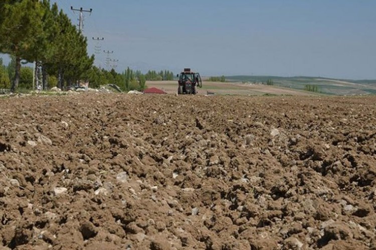 Atıl tarım arazilerine üretim için %75 hibe desteği