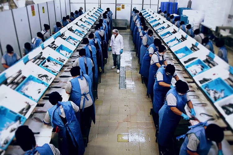 90,5 milyon dolarlık gelir