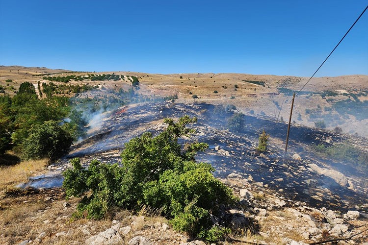 Malatya'da çıkan ot ve bahçe yangınları söndürüldü