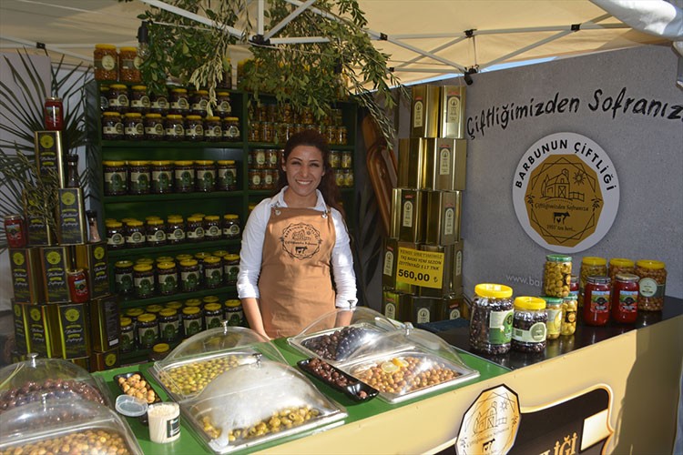 Ayvalık 17. Uluslararası Zeytin Hasat Festivali başladı