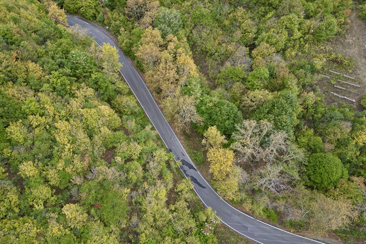 Ganos Dağı eteklerindeki ormanlar sonbahar renklerine bürünmeye başladı